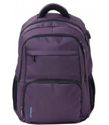 Σάκος πλάτης laptop Colorlife 5349 28lt Μωβ