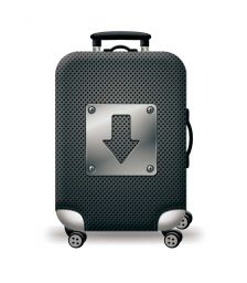 Κάλυμμα Βαλίτσας Large AMBER Arrow AM250-03