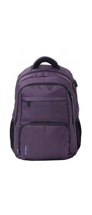 Σάκος πλάτης laptop Colorlife 5349 28lt Μωβ