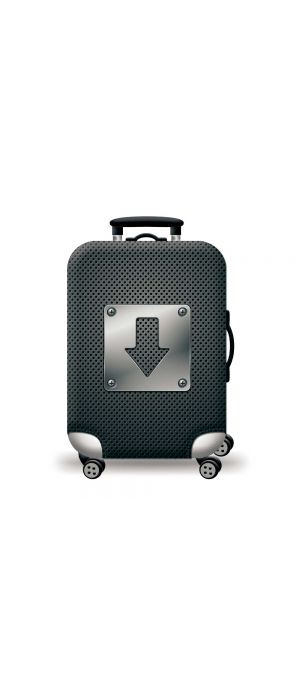 Κάλυμμα Βαλίτσας Large AMBER Arrow AM250-03